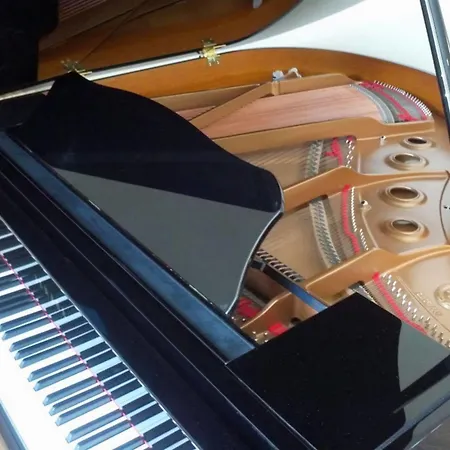 Le Chapon Fin ホテル 3*