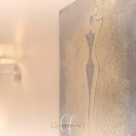 Le Chapon Fin ホテル 3*